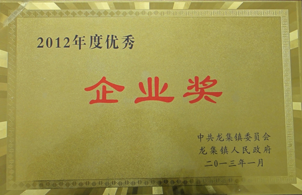 優(yōu)秀企業(yè)獎1.JPG