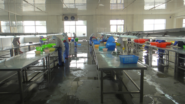 生產(chǎn)車(chē)間-005